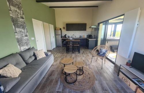 Pujols-sur-Ciron House | Gîte au coeur des vignes, jacuzzi et sauna privés