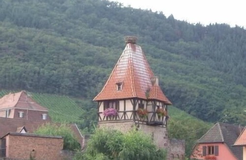 Chatenois Apartment | Gîte du Frankenbourg apartment in detached house. In Chatenois