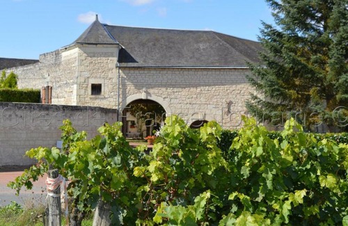 Ligre House | Gîte Ligré, 3 pièces, 4 personnes - FR-1-381-10