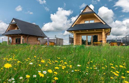 Czarny Dunajec House | Góralskie Domki u Topora