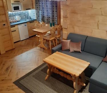 Bialka Tatrzanska Ski Chalet | Górska Chata pod wyciągiem Remiaszów nr IX ski bus pod domkami