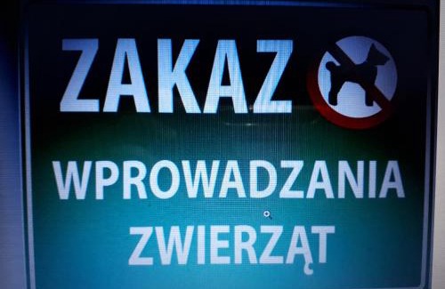 Glogow Apartment | Głogów Przy Chopina