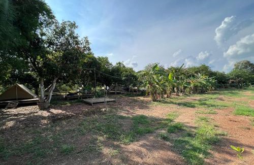 Vinh Cuu Other | Gạo Farmstay