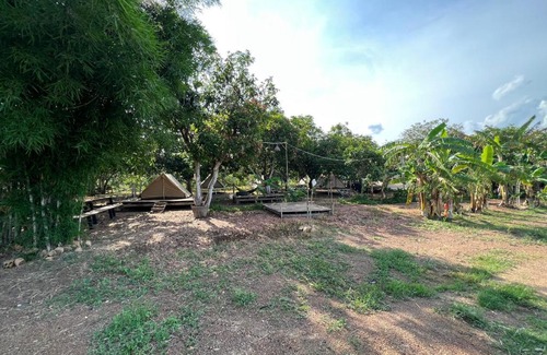 Vinh Cuu Other | Gạo Farmstay