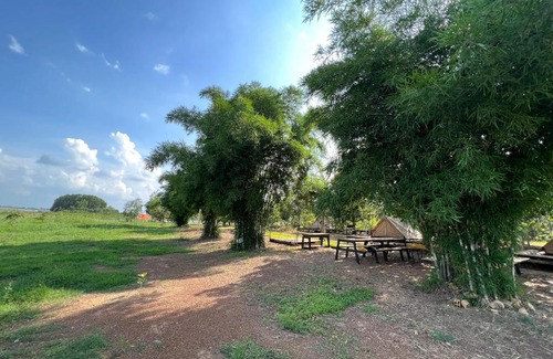 Vinh Cuu Other | Gạo Farmstay
