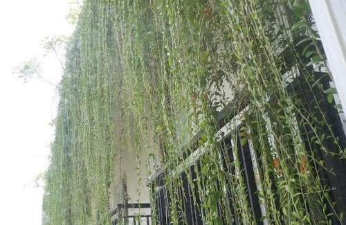 Bukit Hotel | G7 RESIDENCE