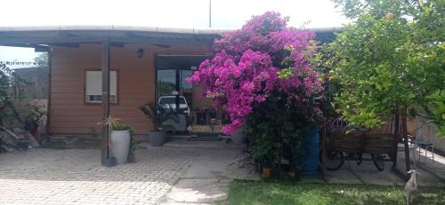 Chuy House | Gaboto, solo se reserva con sena , entrar en contacto
