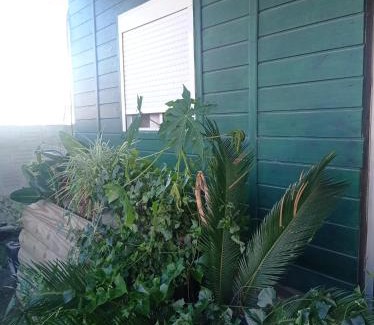 Chuy House | Gaboto