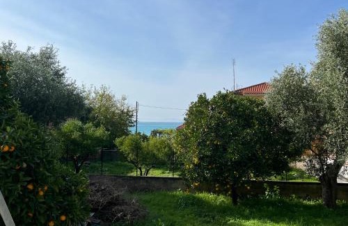 Akrogialion Apartment | Galini 1
