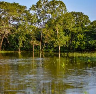 Malindi Other | Galloping Adventures
