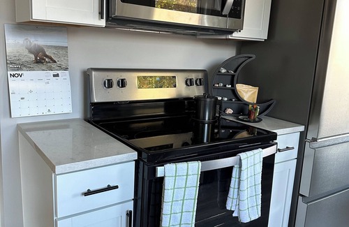 Parma House | Game On Parma with WiFi, AC and Game Room Family and Pet Friendly