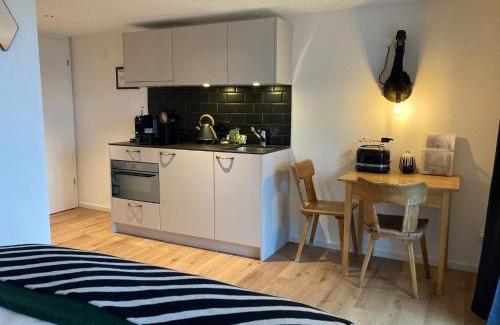 Guggisberg Apartment | Gantrisch Lodge Ottenleuebad