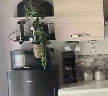 Pisa Ski Chalet | Garden Guest House