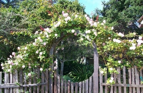 Carmel Point House | Garden home a block from the beach