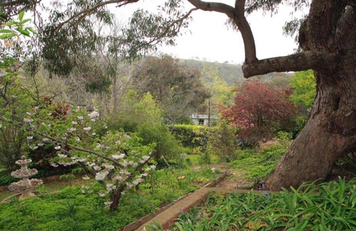Red Hill House | Garden of Eden 伊甸园