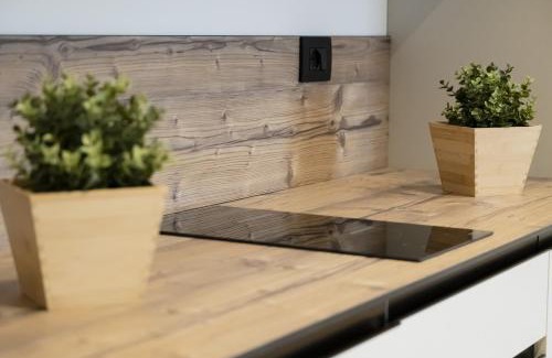 Trento Apartment | Garden Park Le Albere Trilocale con Balcone