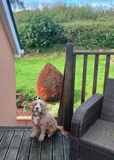 Malborough Apartment | Garden View Apartment