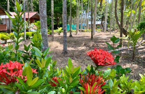 Neil Island Resort | Garden View Restaurant and Home Stay