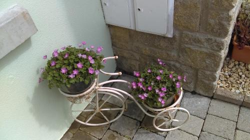Mohill House | Garden View Self Catering Lough Rynn