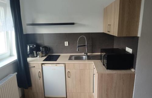 Ostrava City Centre Apartment | Garsoniéra za Bezručem