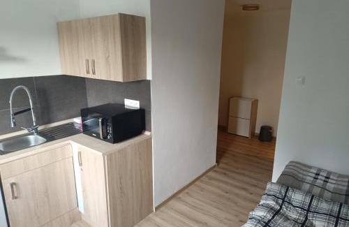 Ostrava City Centre Apartment | Garsoniéra za Bezručem