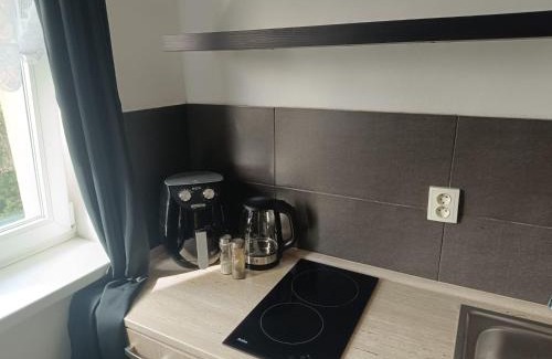 Ostrava City Centre Apartment | Garsoniéra za Bezručem
