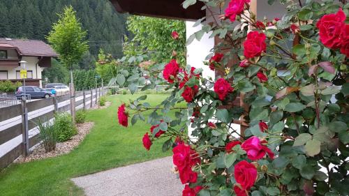 Mayrhofen House | Gartenhaus Zur Kröllin