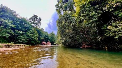 Rani House | Gateway of Gavi Homestay