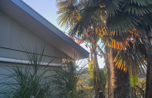 Riwaka House | Gateway to Abel Tasman Park, Kaiteriteri and Motueka. Quiet, spacious, light.