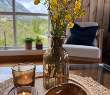 Atra House | Gausta Lodge med elbillader, nærhet til Gaustatoppen Ski in ski out