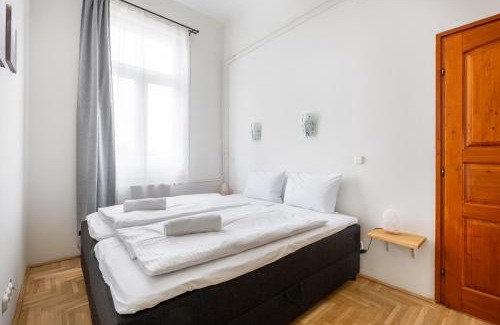 Erzsebetvaros Apartment | GDE Nagy Diofa 5