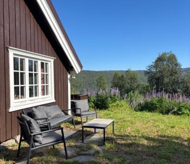 Hol Municipality Ski Chalet | Geilo, two cabins, silence, nature, skiing and summer sports