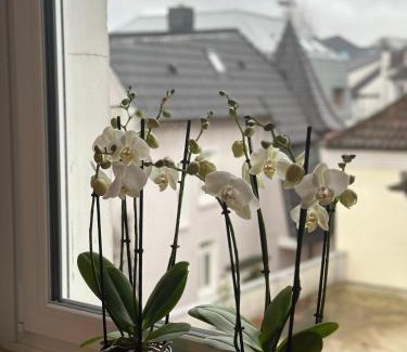 Kernstadt Apartment | Gemütlich Wohnung im Zentrum von Paderborn