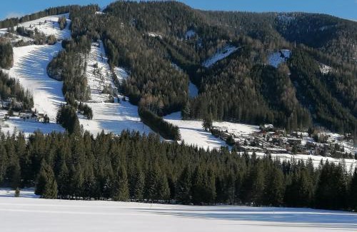 Hohentauern House | Gemütliches Ferienhaus mit Holzofen und Sauna