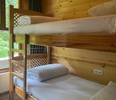 Ayder Yaylasi Ski Chalet | Gencal King Villas