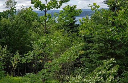 Cape Breton Regional Municipality Cottage | Georges River, Highland View Cottage #3n