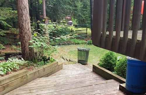 Tiny Cottage | Georgian Bay Cottage in the Pines