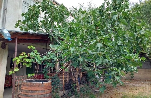 Zegaani House | Georgian village house Asmati Khunashvili