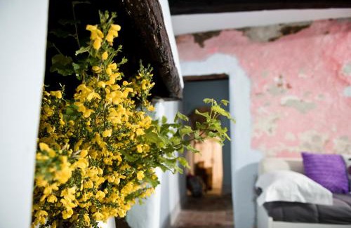 Vignanello Apartment | Giamevi House