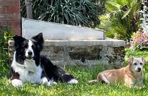 Agrigento House | Giardino di Circe