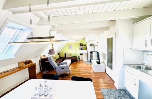 Wyk auf Foehr Apartment | Ginsterweg 1a