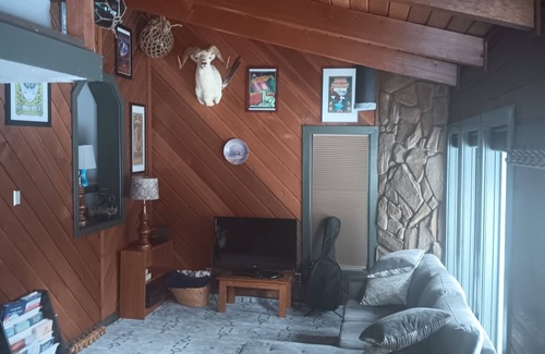 Alyeska Cabin | Girdwood ski cabin. Wild Iris Chalet .5 miles from daylodge.