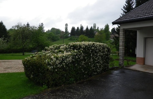 Champagney House | GITE DE FRANCE 2 minutes' walk from the lake 1 medium-sized pet