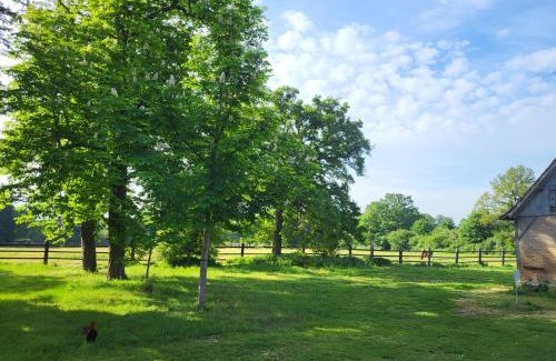 Monce-en-Belin House | Gite de la Chapelle - Circuit des 24 heures - ARNAGE - 10 personnes
