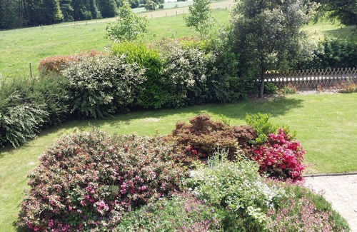 Plouasne Cottage | Gite des PROM'NOUS,independent in BRITTANY, enclosed garden, countryside, lake Néal.SPA