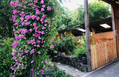 Bischwiller House | Gite du Ried