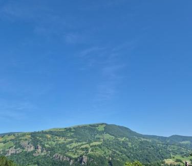 Thiezac Apartment | Gite le petit Ely