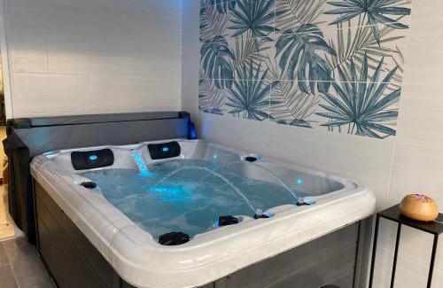 Saint-Jean-de-Barrou House | Gite Thym spa au coeur d'une oliveraie des Corbières