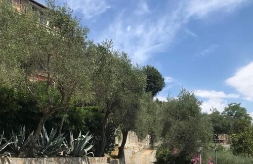 San Lorenzo della Costa Other | “Giulli” Typical Ligurian rustic immersed in the olive grove
