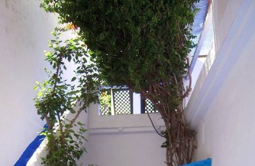 Medina House | GIVE NEW traditional house in historical-artistic medina
